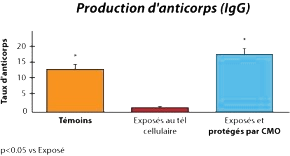 CMO-Les-etudes-graph2