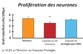 CMO-Les-etudes-graph8