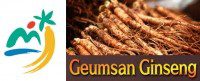 Logo-Geumsan-Ginseng