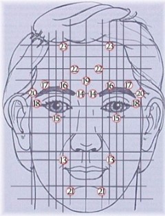 Reflexologie-facial-illustration-2