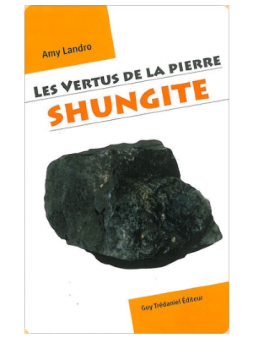 Les Vertus de la pierre Shungite - Amy Landro