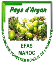 EFAS-Maroc logo