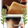 Moxa - set de 4 bâtons pour la Moxibustion - illustration 2