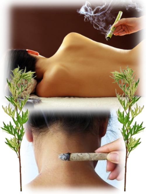 bâtonnets de moxa sans fumée pour moxibustion (10 rouleaux) - Leonidov :  : Hygiène et Santé