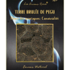 ER10-04 - Les Encens Rares - Terre brulée de Pegu