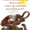Les Encens Rares - illustrations 2