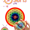 Médaillon, Disque et Stèle OSENS