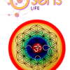 OSENS-S - Stèle Osens - Dispositif quantique