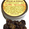 Résine de Myrrhe Mukul/Gugul - Boîte de 25 gr