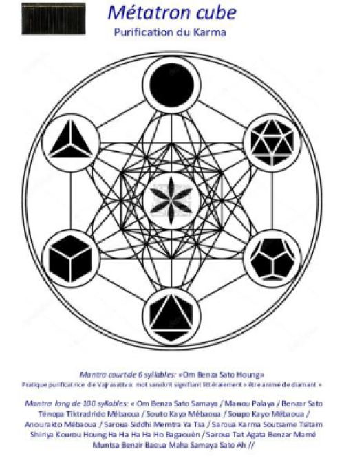 DVF-MC9-planche-vibratoire-Cube-de-Metatron