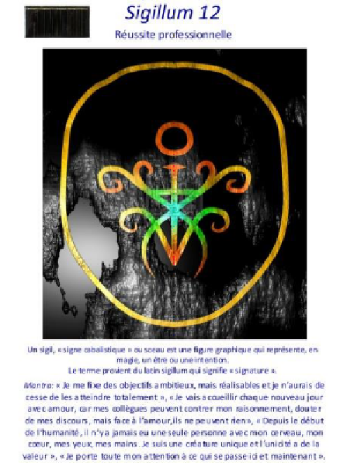 DVF-SIGIL12-planche-vibratoire-Sigillum12-Reussite-professionnelle