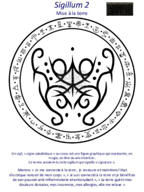 DVF-SIGIL2-planche-vibratoire-Sigillum2-Mise-a-la-terre