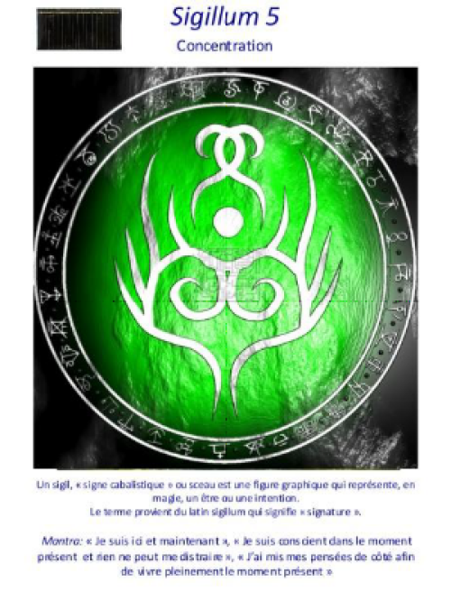 DVF-SIGIL5-planche-vibratoire-Sigillum5-Concentration