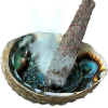 Sauge bleu en faisceau sur coquille d'ormeau