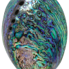 Coquille d'Ormeau - Abalone - New Zéland - 2