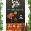 Encens cônes creux Tribal Soul COPAL BLANC