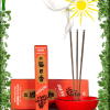 Porte encens IWACHU en fonte rouge