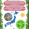 Binchotan Japonais de Kishu x1 – Image 4